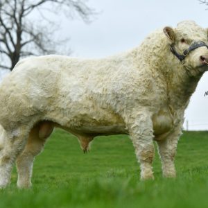 CORBAUN RORY