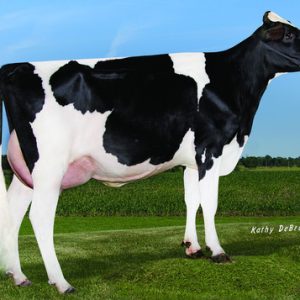 BOGHILL GLAMOUR HAILSTONE ET