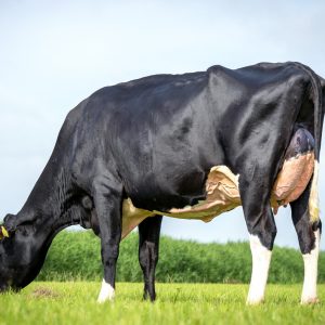 CEVITAN